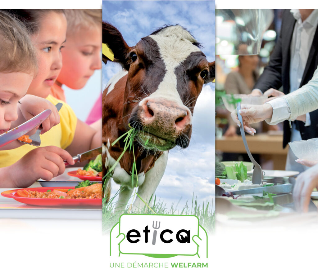 3 photographies illustrant des enfants en restauration scolaire, une vache et une restauration collective