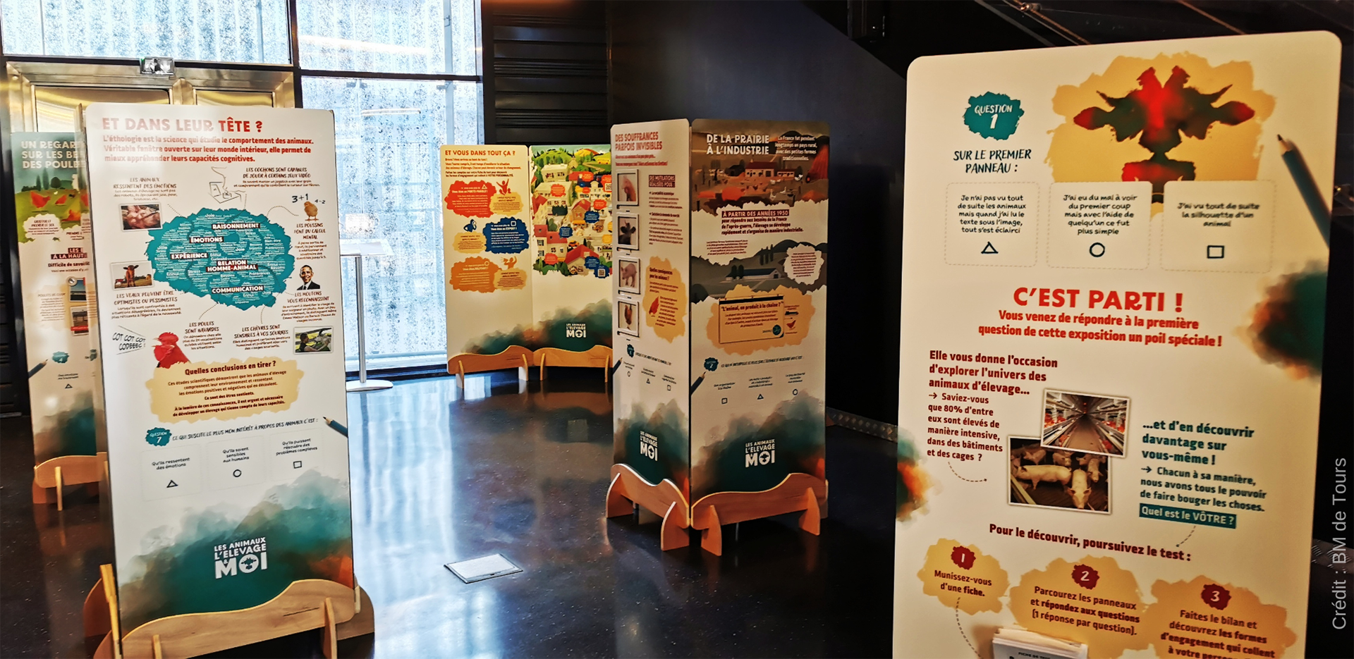 La bibliothèque de Tours présente l’exposition de Welfarm « Les animaux, l’élevage & moi »